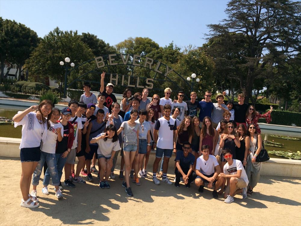 アクティビティ