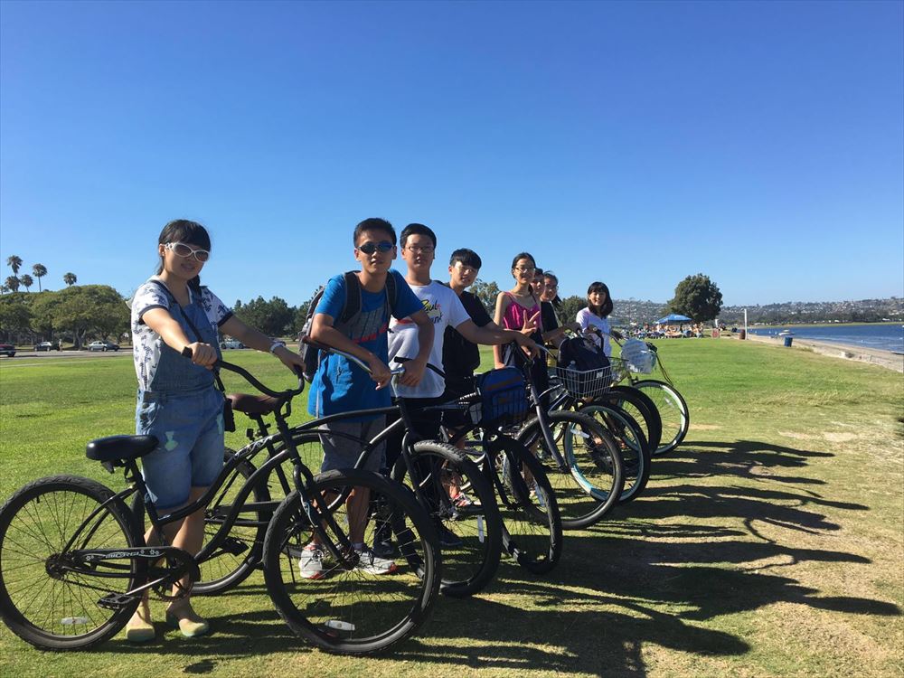 アクティビティ