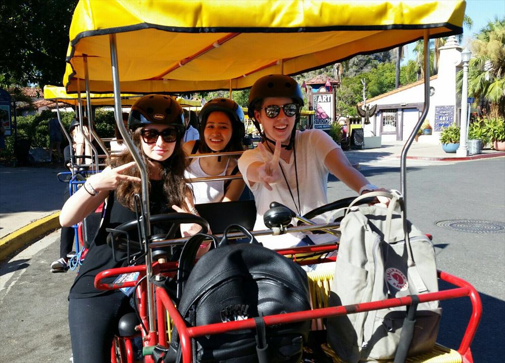 アクティビティ