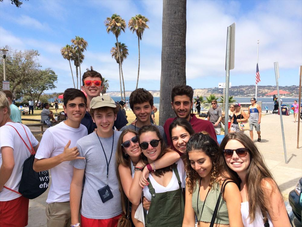 アクティビティ