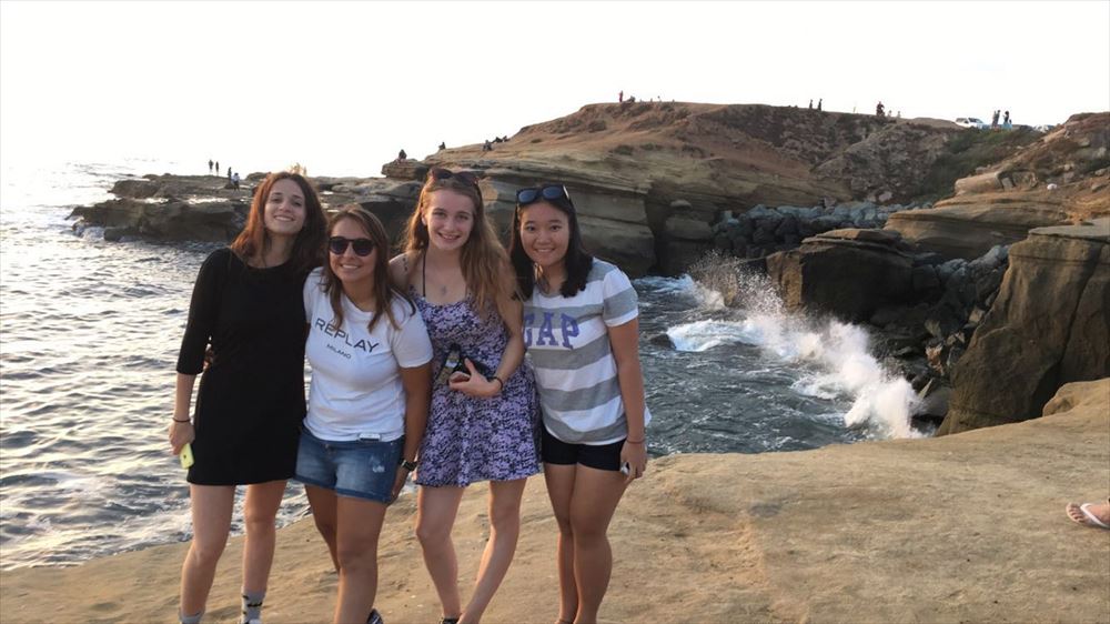 アクティビティ