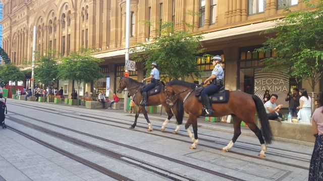 シドニー　体験談