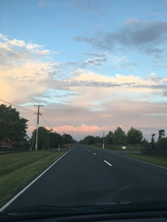 ニュージーランド　体験談