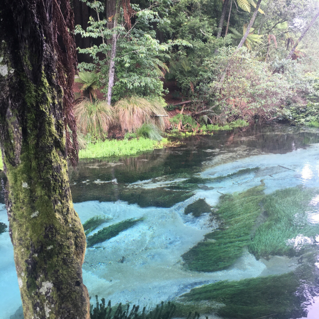 ニュージーランド　体験談