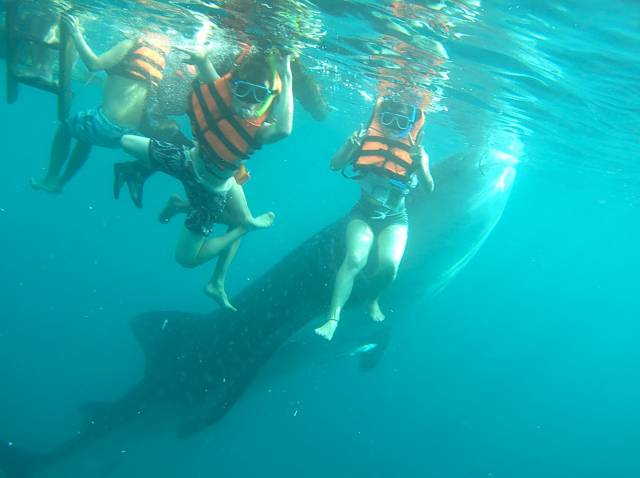 フィリピン 体験談