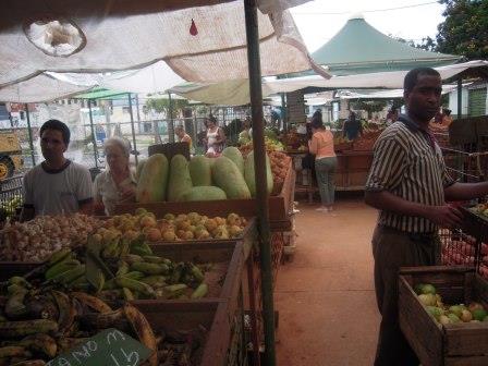 キューバ 体験談