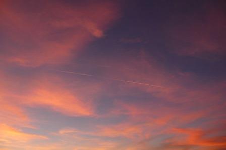 アメリカ　体験談