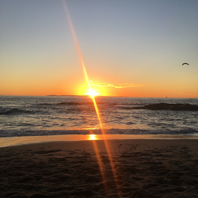 アメリカ 体験談